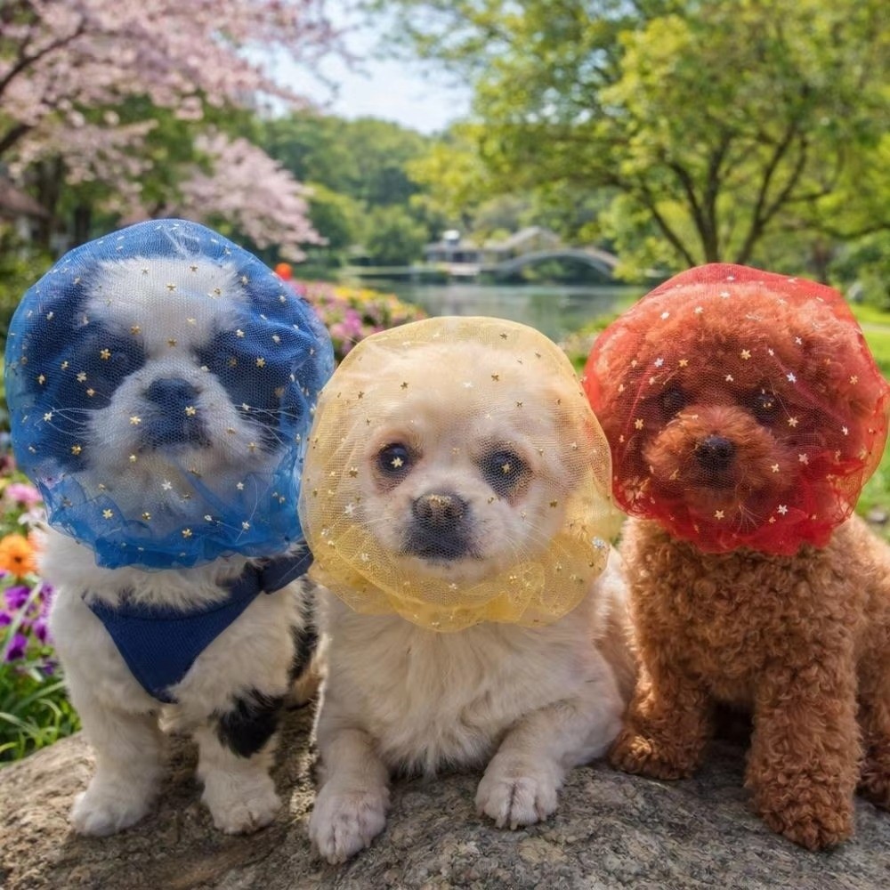 Breathable Dog Anti-Eating Vei - Mask Lanyard Adjustable 评论和价格